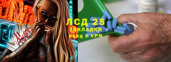 прущие грибы Аркадак