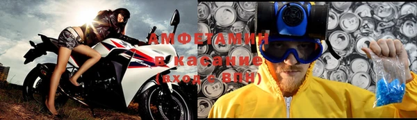 прущие грибы Аркадак