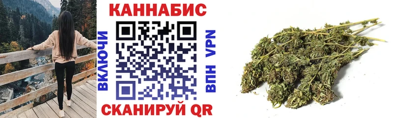 Бошки Шишки планчик  где найти наркотики  Сасово 